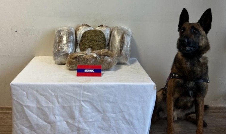 Boluda 5 kilo uyuşturucuyu narkotik köpeği Bıçak yakaladı: 5 gözaltı