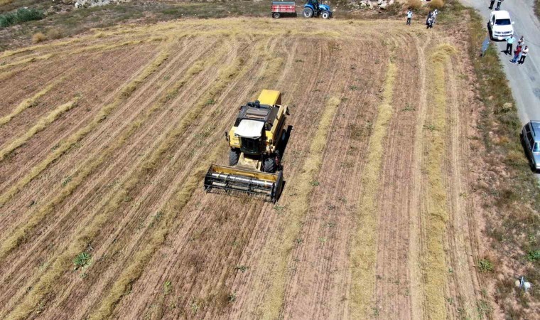 Boluda biçim ve balya yapımı fiyatları belirlendi