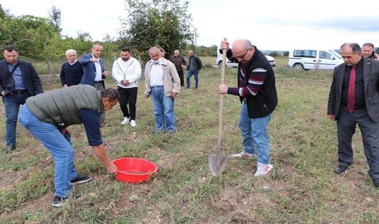 Boluda kaliteli toprak için ekipler harekete geçti