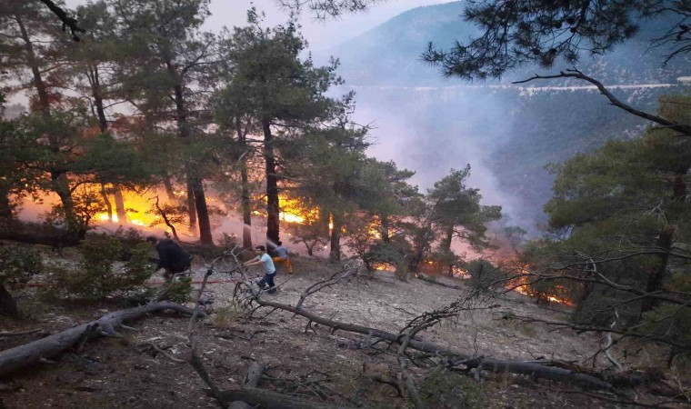 Boluda ormana düşen yıldırım yangın çıkardı