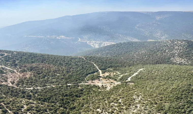 Bolu’daki orman yangını 3’üncü günde kontrol altına alındı (2)