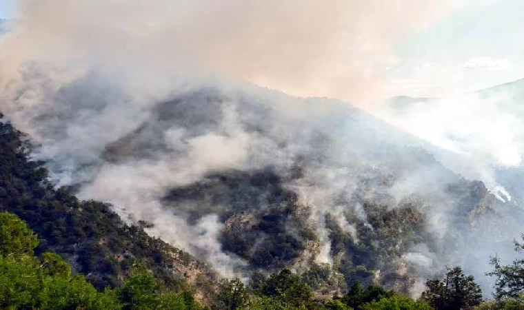 Bolu’daki orman yangını 3’üncü gününde