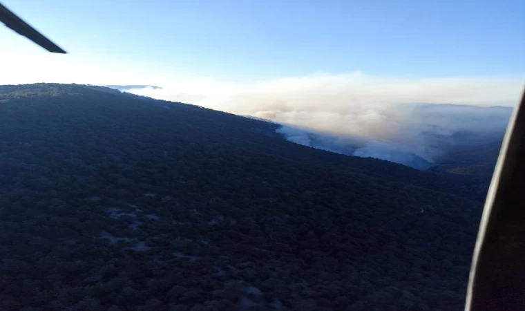 Bolu’daki orman yangınına havadan müdahale