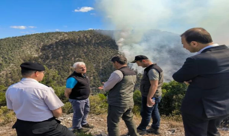 Bolu’daki orman yangınına havadan müdahale (2)