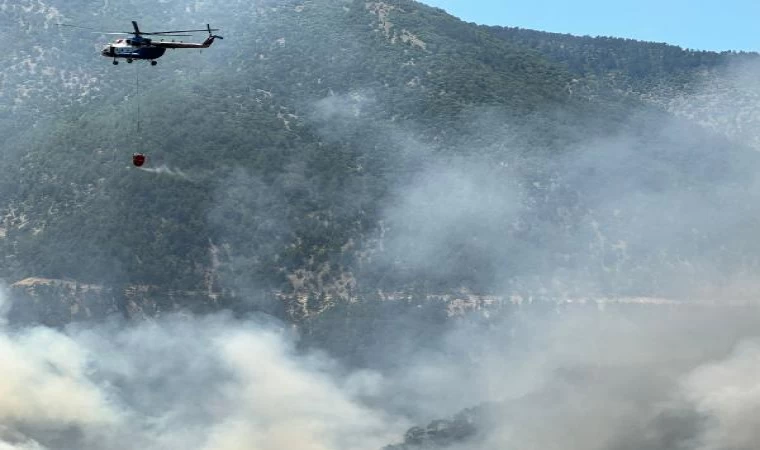 Bolu’daki orman yangınına havadan müdahale (3)