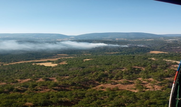 Boludaki orman yangınına helikopterler havadan müdahale ediyor