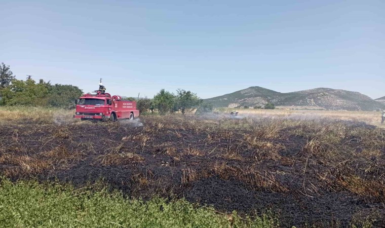 Burdurda 1 dönüm tarım arazisi yanarak kül oldu