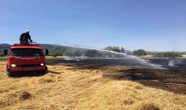 Burdurda anız yangını