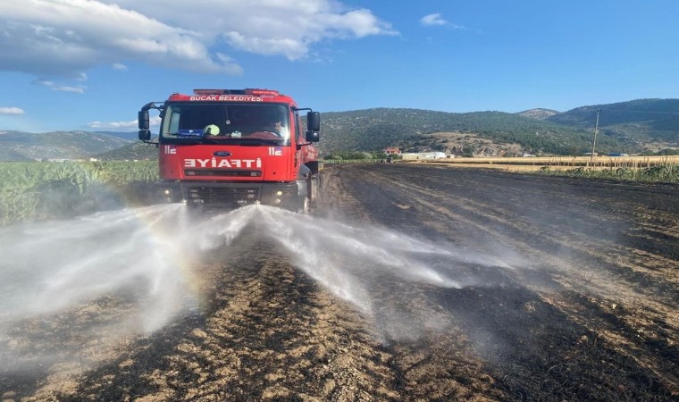 Burdurda çıkan yangında 20 dekar tarım arazisi küle döndü