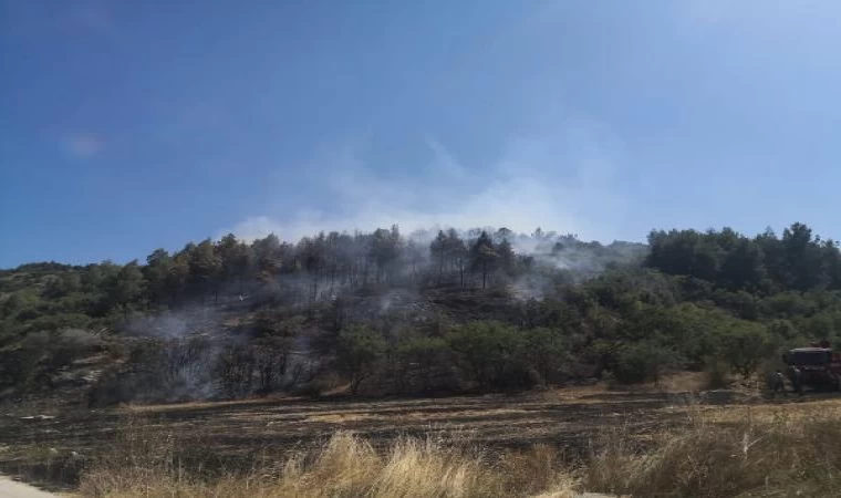 Burdur’da orman yangını