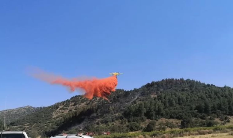 Burdur’da orman yangını (2)