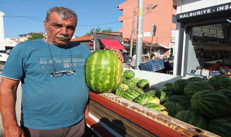 Burhaniyede emekli eğitimci, çiftçi oldu