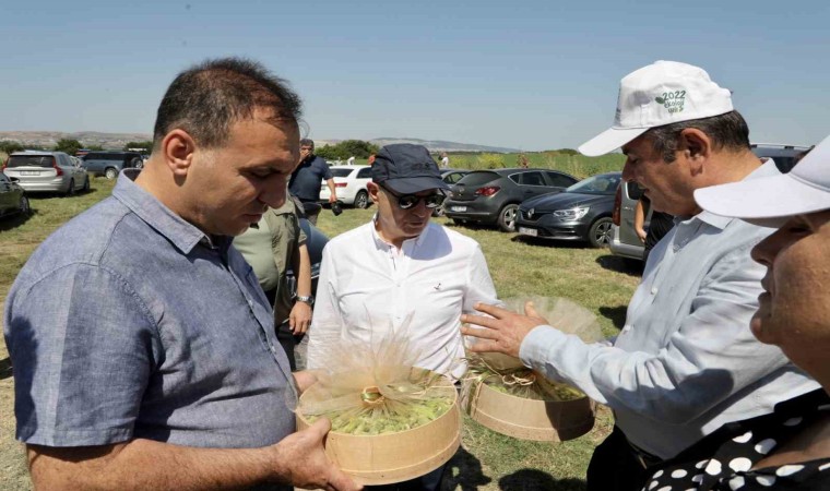 Büyükçekmecede buğday hasat dönemi başladı