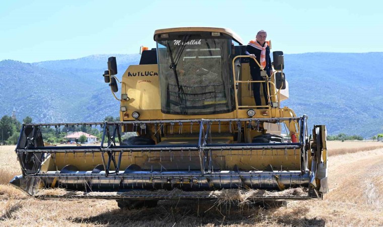 Büyükşehirden 2 bin 600 dekara buğday ve ayçiçeği desteği