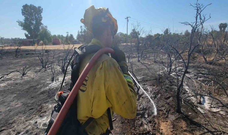 Californiada orman yangını: 3 bin 400 hektar alan yandı