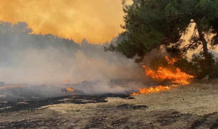 Çanakkale’de orman yangını  / Ek fotoğraflar