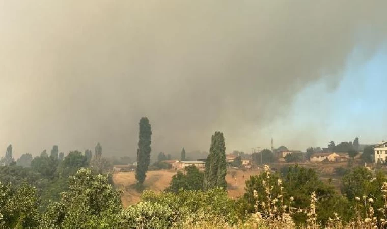 Çanakkale’de orman yangını 