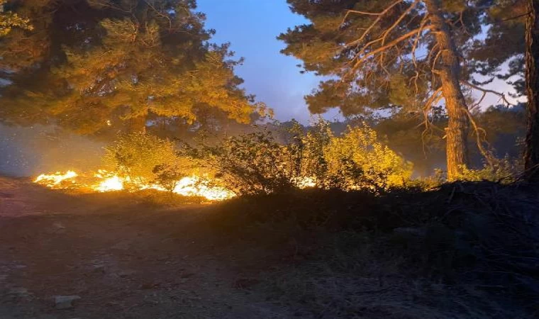 Çanakkale’de orman yangını (2)