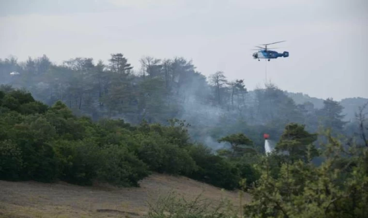 Çanakkale’deki orman yangını 16 saat sonra kontrol altında (2)