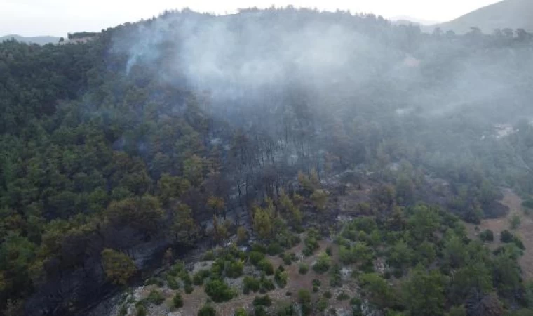 Çanakkale’deki orman yangınına 2’nci günde havadan ve karadan müdahale sürüyor