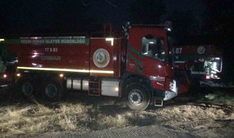 Çanakkaledeki orman yangınına gece de havadan ve karadan müdahale ediliyor