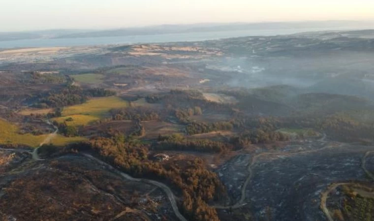 Çanakkale’deki orman yangınında 2 bin 500 hektar alan zarar gördü