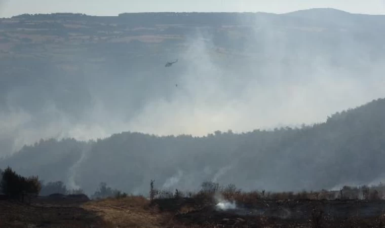 Çanakkale’deki orman yangınında 3’üncü gün