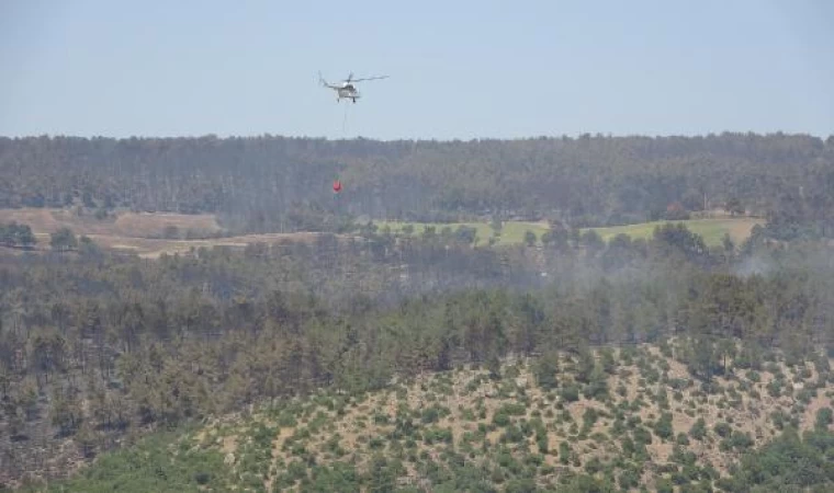 Çanakkale’deki orman yangınında 3’üncü gün (2)