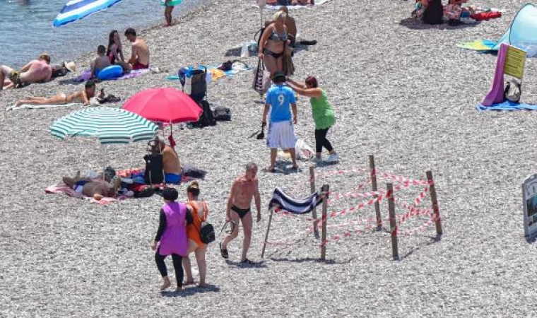 Caretta caretta yuvası, ’çamaşır askısı’ oldu