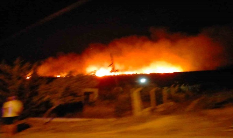 Çeşmede çamlık alanda yangın