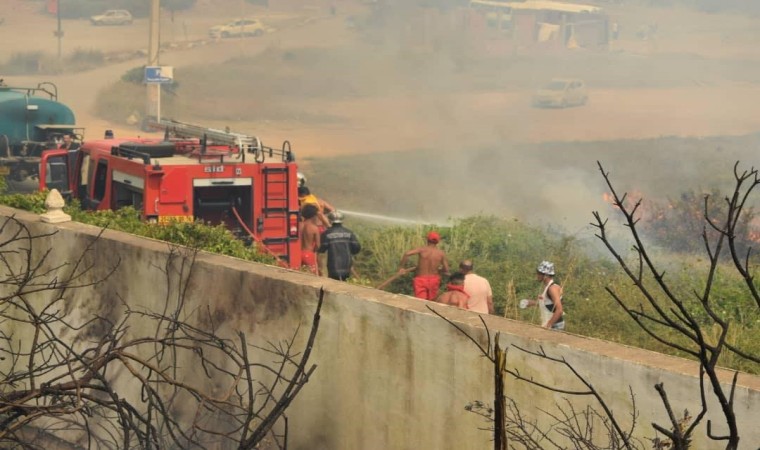 Cezayirde orman yangını: 15 ölü