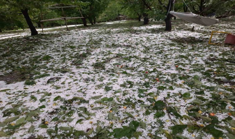 Çiftçinin yaşadığı mağduriyet ilgili makamlara iletildi