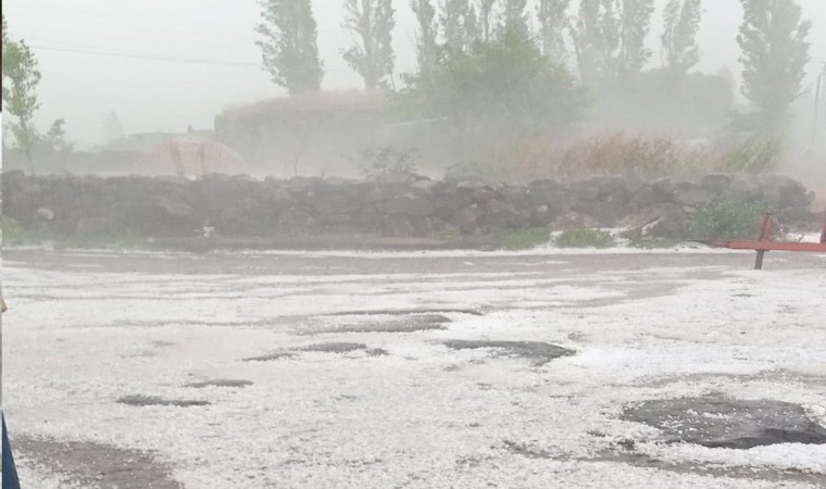 Çıldırda dolu yağışı ekili alanlara zarar verdi