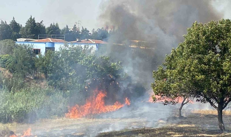 Çorluda 600 dönüm anız ve ağaçlık alan cayır cayır yandı