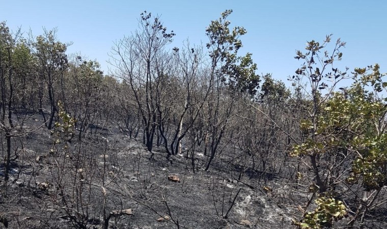 Diyarbakırda 18 saattir devam eden yangın kontrol altına alındı