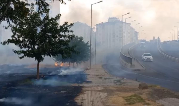 Diyarbakır’da kent merkezinde otluk alanda yangın 