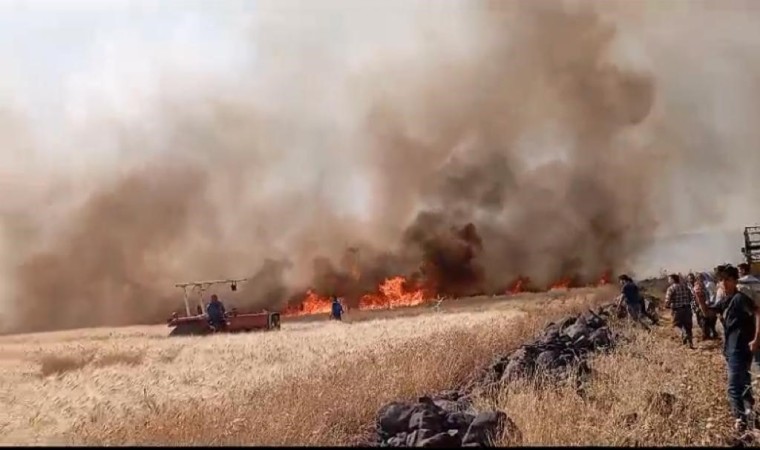 Diyarbakırda yaklaşık 200 dönüm ekili arazi küle döndü