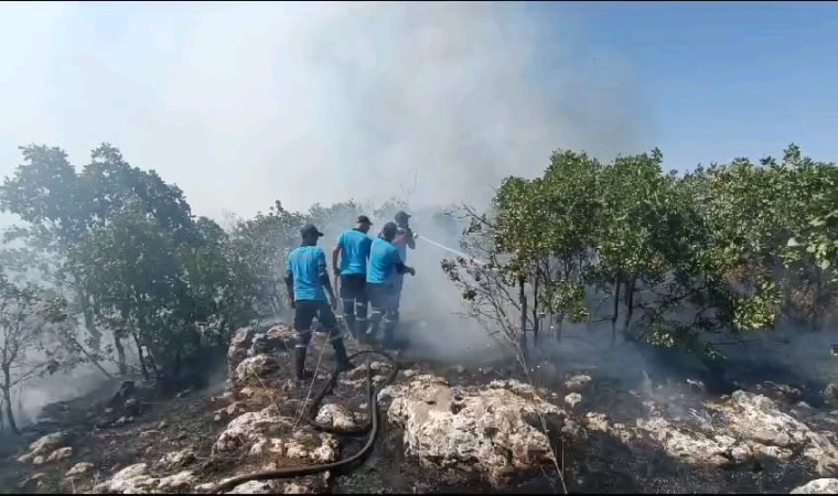 DÜAK ihtiyaç duyulan her alanda görev üstlenmeye devam ediyor