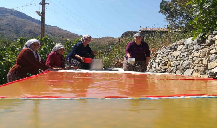 Dutun önemli geçim kaynağı olduğu Kemaliyede kadınların zorlu pestil ve pekmez yapımı imece usulü ile eğlenceli hale geliyor