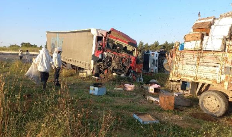 Edirne’de TIR, park halindeki 2 kamyonete çarptı; 4 ölü, 1 yaralı/ Ek fotoğraf