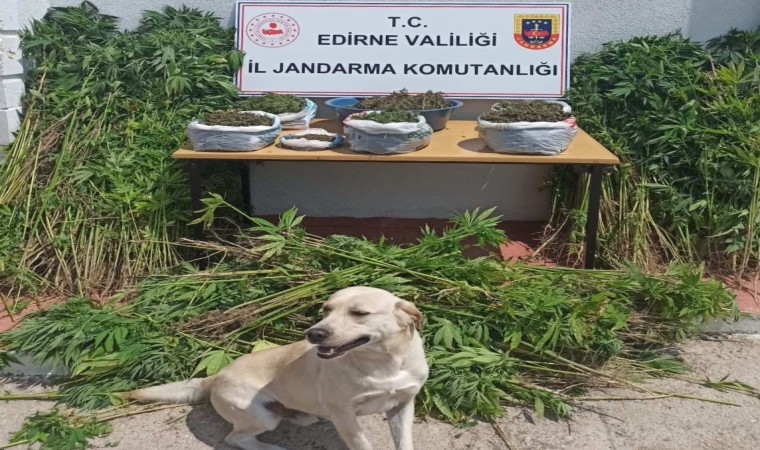 Edirnede uyuşturucu operasyonu: 14 kilo 792 gram uyuşturucu ele geçirildi