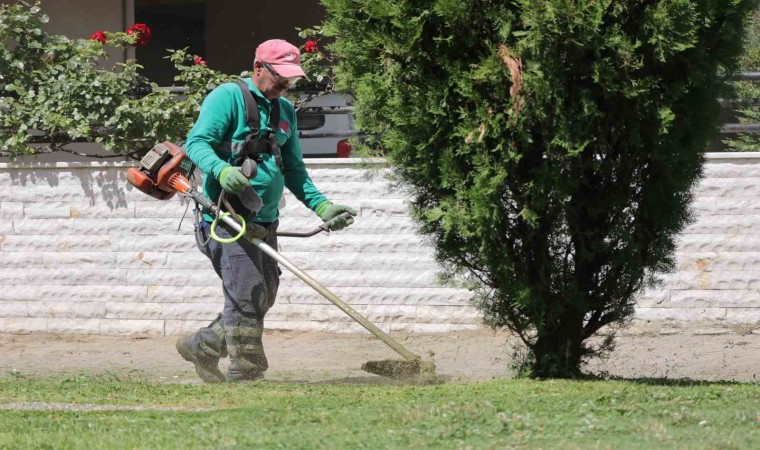 Efelerin parkları pırıl pırıl oluyor