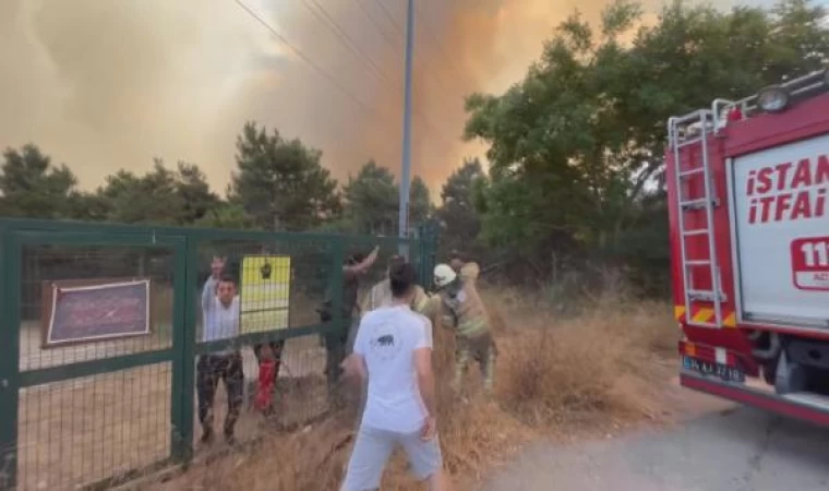 Ek fotoğraflar // Sultangazi’de orman yangını