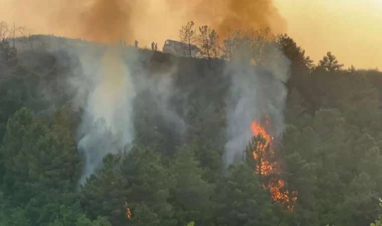 Ek fotoğraflar//Beykoz’da iki farklı noktada orman yangını