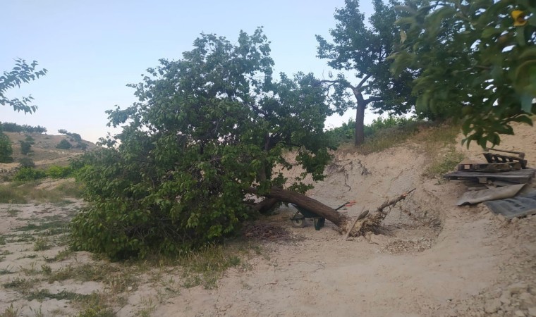 Elazığda fırtına ağaçları kökünden söktü