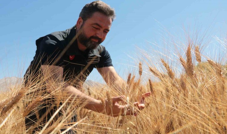 Elbistan Belediyesi halk ekmeği bedava verecek