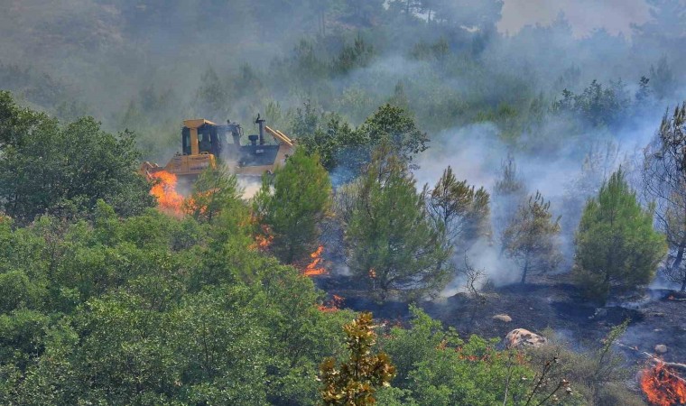 En sıcak günde ormancılar Yeşil Vatanda teyakkuzda