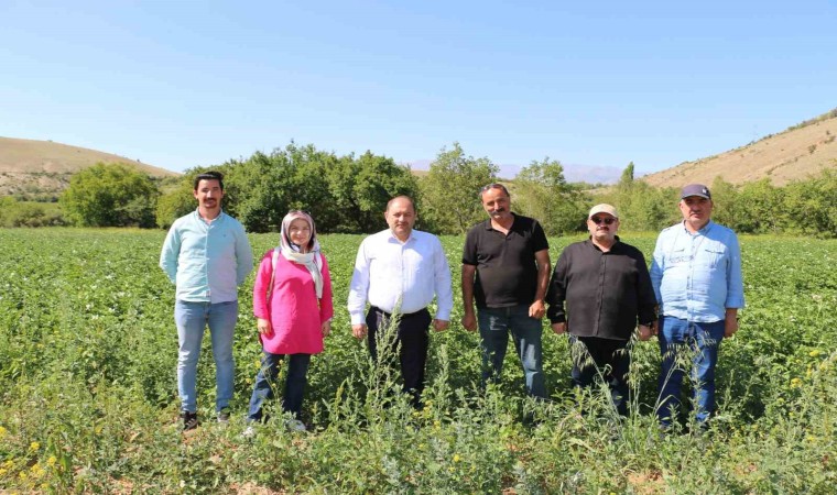 Erzincanda patates projesi başarıyla uygulanıyor