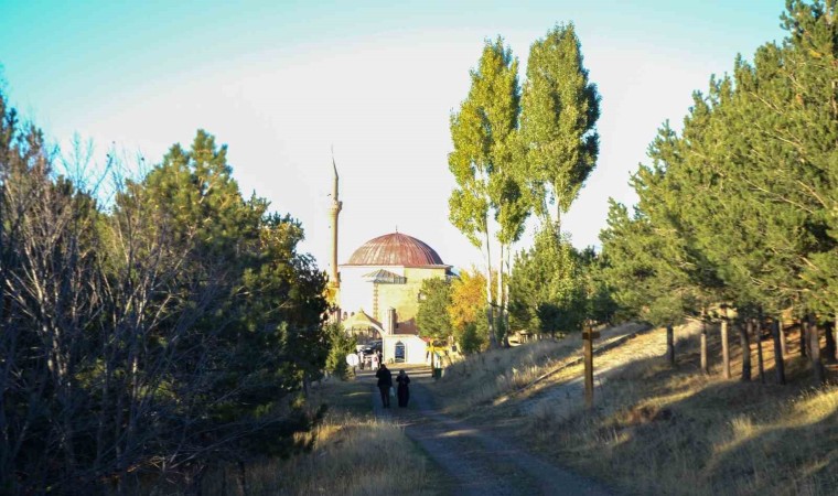 Erzurumda ormanlık alanlara girişler yasaklandı