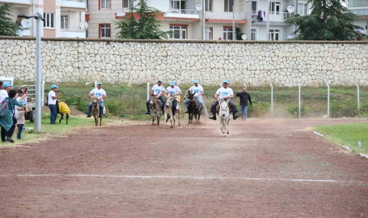 Eşekler birinci olmak için yarıştı